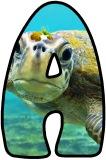 Free printable Sea Turtles background instant display lettering sets for classroom display.