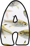 &nbsp;Free printable instant display lettering sets with X-Ray Tetra fish in the background.&nbsp; Create your own display board headings or banners.