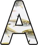&nbsp;Free printable instant display lettering sets with X-Ray Tetra fish in the background.&nbsp; Create your own display board headings or banners.
