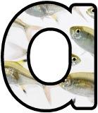 &nbsp;Free printable instant display lettering sets with X-Ray Tetra fish in the background.&nbsp; Create your own display board headings or banners.