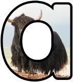 &nbsp;Free printable instant display lettering sets with a Yak in the background.&nbsp; Create your own display board headings or banners.