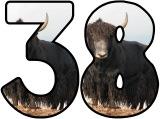 &nbsp;Free printable instant display lettering sets with a Yak in the background.&nbsp; Create your own display board headings or banners.
