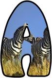 &nbsp;Free printable instant display lettering sets a Zebra background.&nbsp; Create your own display board headings or banners.