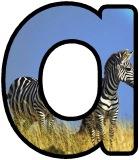 &nbsp;Free printable instant display lettering sets a Zebra background.&nbsp; Create your own display board headings or banners.
