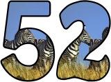 &nbsp;Free printable instant display lettering sets a Zebra background.&nbsp; Create your own display board headings or banners.